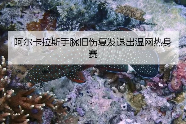 阿尔卡拉斯手腕旧伤复发退出温网热身赛