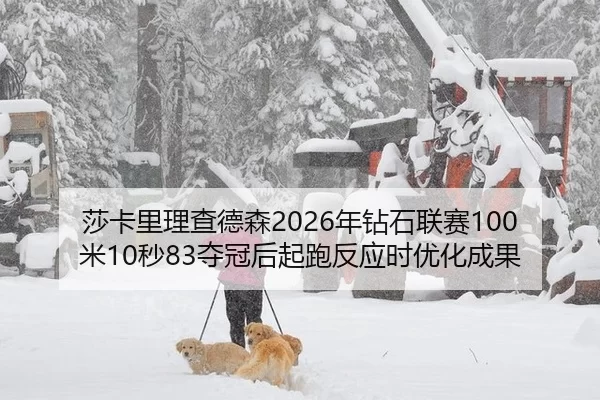 sha-ka-li-li-cha-de-sen-nian-zuan-shi-lian-sai-mi-miao-duo-guan-hou-qi-pao-fan-ying-shi-you-hua-cheng-guo-3-781.jpg